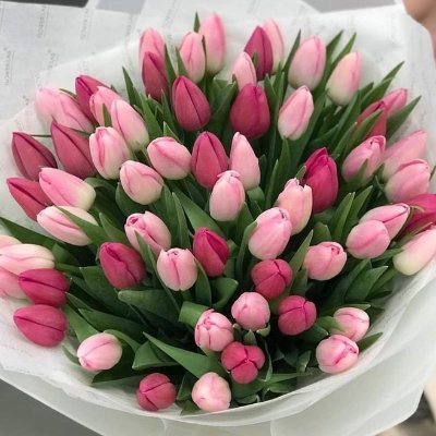 i_amraji's profile picture. Learner, Fan of Rahman Sir ❤️, Sivu 😘
Spread The Smile Wherever You Go😊😊
Pause and hold on when you are angry 
 🌍