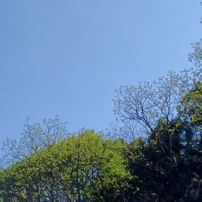 uaMWXQLvosJSj1N's profile picture. 無言フォロー失礼します。
観る専です。
18↑(高卒済)です。