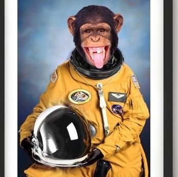 NOLAspacemonkee's profile picture. 6/8/22- First time looking through a telescope in my backyard-now a vampire & stay up all night. I have no idea what I'm doing & having a blast doing it.