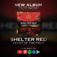 Shelter Red (@shelterred) 's Twitter Profile
