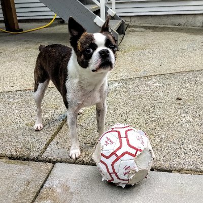 Retired marine-crane wrangler. Fan of all things marine related. Staff to a Boston Terrier. Twin acct to @DavidLe91829922
@maks-dad.bsky.social