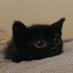 hey (@minimonikuu) Twitter profile photo hey (@minimonikuu) Twitter profile photo