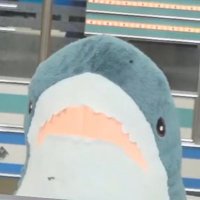 sanchoshark(@Mojito_n) 's Twitter Profile Photo