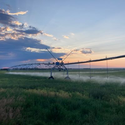 Born and raised southern Alberta farm boy. Part time farmer, full time farm hand