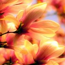 Meredith Cates - @merebearbear - Twitter