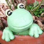 voloskie's profile picture. 花や鳥を撮るのが好きです
OM SYSTEM OM-3