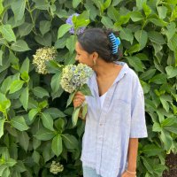divya (@pivyak) 's Twitter Profile
