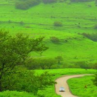 بردية ظفار (@edlozrk6aqxiext) Twitter profile photo