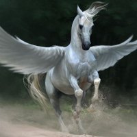 Class Pegasus - Connolly School Campus (@class4csc) 's Twitter Profile