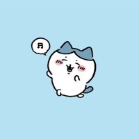 きょーちゃん (@hachiwarelove09) 's Twitter Profile