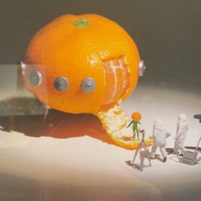 Yako27387702's profile picture. 通りすがりのミカン星人。 🍊無言フォローお許しください。動物全般大好きです。 愛犬は8歳♀のミニチュアダックス🐶