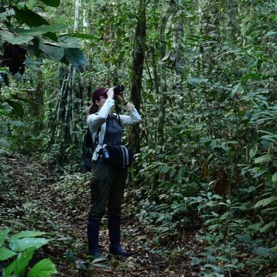 She/her #PhD researcher at MMU - role of regenerating forests in #Wildlife #Conservation. Watcher of #Monkeys in #Peru.
https://t.co/MKUrMTjh6I