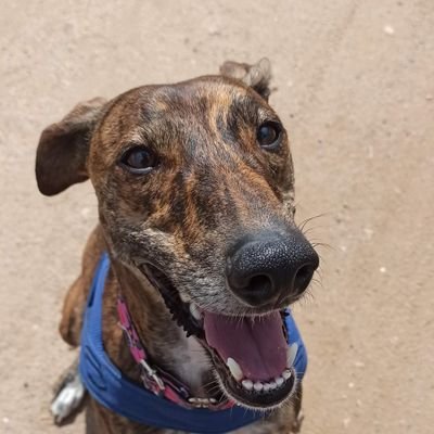 LuisaMace22's profile picture. 