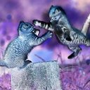 Devon Doherty - @TweetsByDevon - Twitter