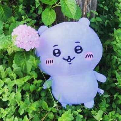 RabDhd's profile picture. 