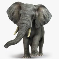 arunby (@arunby) 's Twitter Profile