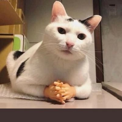 Winchyz1's profile picture. 