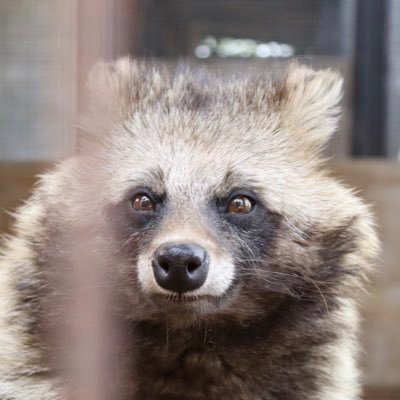 とま🍃🐾さんのプロフィール画像