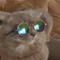 Angel (@redjeans68) 's Twitter Profile