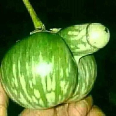 wanitaset's profile picture. Merona