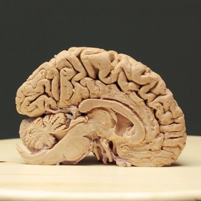 CannyHook's profile picture. Tweets that make us smart!. 

Follow for daily doses.