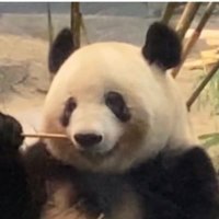 まんまる (@a2rqlkfcs4jf5wq) Twitter profile photo