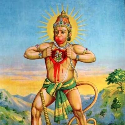Translator, Linguistics Research, Studies of Ancient civilizations, Digital Nomad.