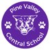 Pine Valley Central School (@PVCSPanther) Twitter profile photo