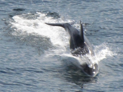 GaryDalton3's profile picture. 