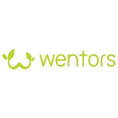 Wentors_ Profile Picture