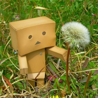 akiirer's profile picture. ゲーム用垢 ポケモンGO&恋庭 完走4回 GP1位