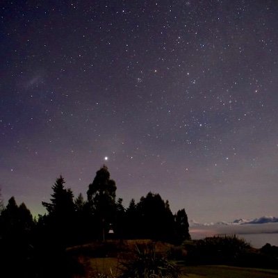 treering2k's profile picture. Won't give up.