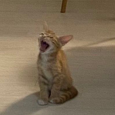 malcong_1_7's profile picture. 구독깅/

헤매는 만큼 나의 길이고 세상이야.