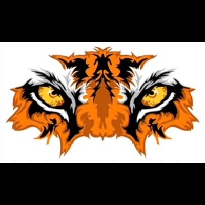 HrivTigers Profile Picture