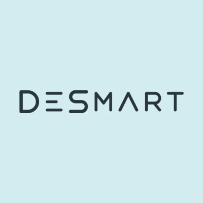 DeSmart Software Development - Top Software Development Companies in Poland