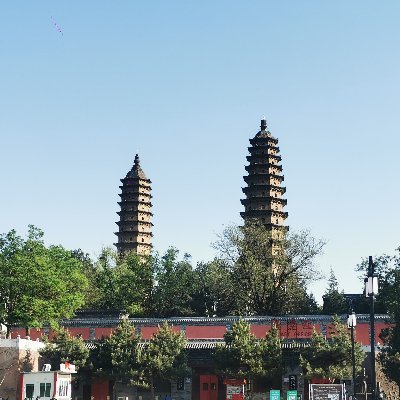 duke91195811's profile picture. 