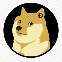 DogeChainNews(@DogeChainNews1) 's Twitter Profile Photo