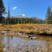 Dani Brittain (@dbritt14) 's Twitter Profile