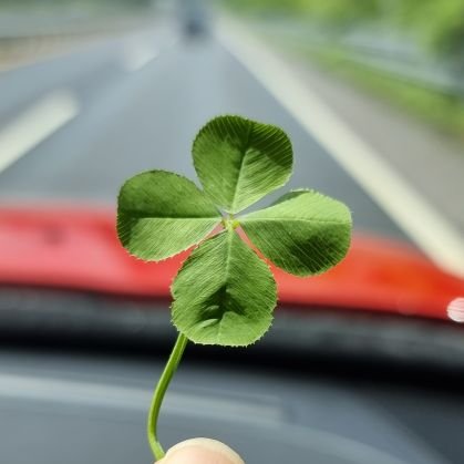 닉변도 잦고 변덕이 찾아오면 언제든 블언블~
본진 없고~ 애배 많음 주의! 
트윗은 영상 가끔 올리고 주로 서치용 양도용 리트윗 계정 / 인별,너튭 위주 활동