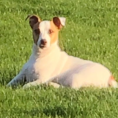 3RiversThrifter's profile picture. 