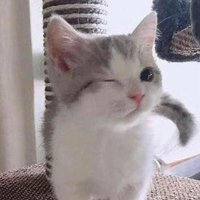 내취향손민수˗ˋˏ ♡ ˎˊ˗ (@mycelebpicked) 's Twitter Profile Photo 내취향손민수˗ˋˏ ♡ ˎˊ˗ (@mycelebpicked) 's Twitter Profile Photo
