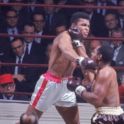 MVaapov's profile picture. boxing