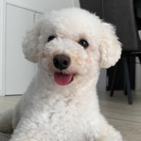 こっちゃん (@hontohaakikuni) Twitter profile photo