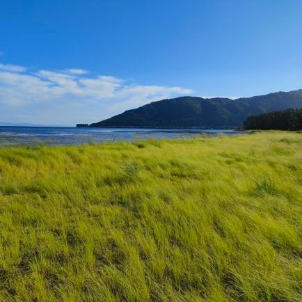 FA_Hiroyuki's profile picture. 