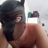 PussyBoy (ex @fag_locked) (@attispussyboy) Twitter profile photo