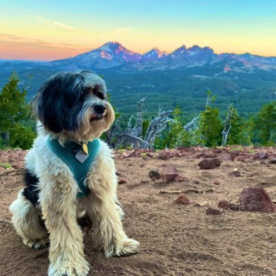 Rescued Tibetan Terrier living my best life in Bend, Oregon. I climb mountains and adventure with my people. Opinions are my own. No thumbs to respond to DMs.