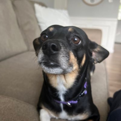 nachokiller1982's profile picture. Lost. What have I done?