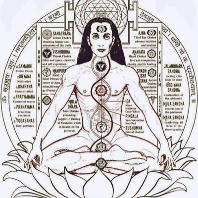 UrbanYogi_'s profile picture. Seeker🕉| Dreamer | Observer | ❤️Samkhya & Advaita philosophy | Civil Engineer | The only way to go beyond the mind is through the mind |