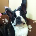 Benson Dudley - @BensonDudley - Twitter