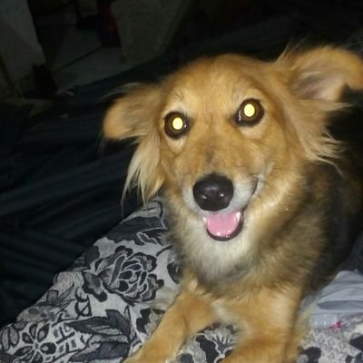 https://t.co/ZK6jfVTQLT
Seguem Para Eu Seguir De Volta 🌺